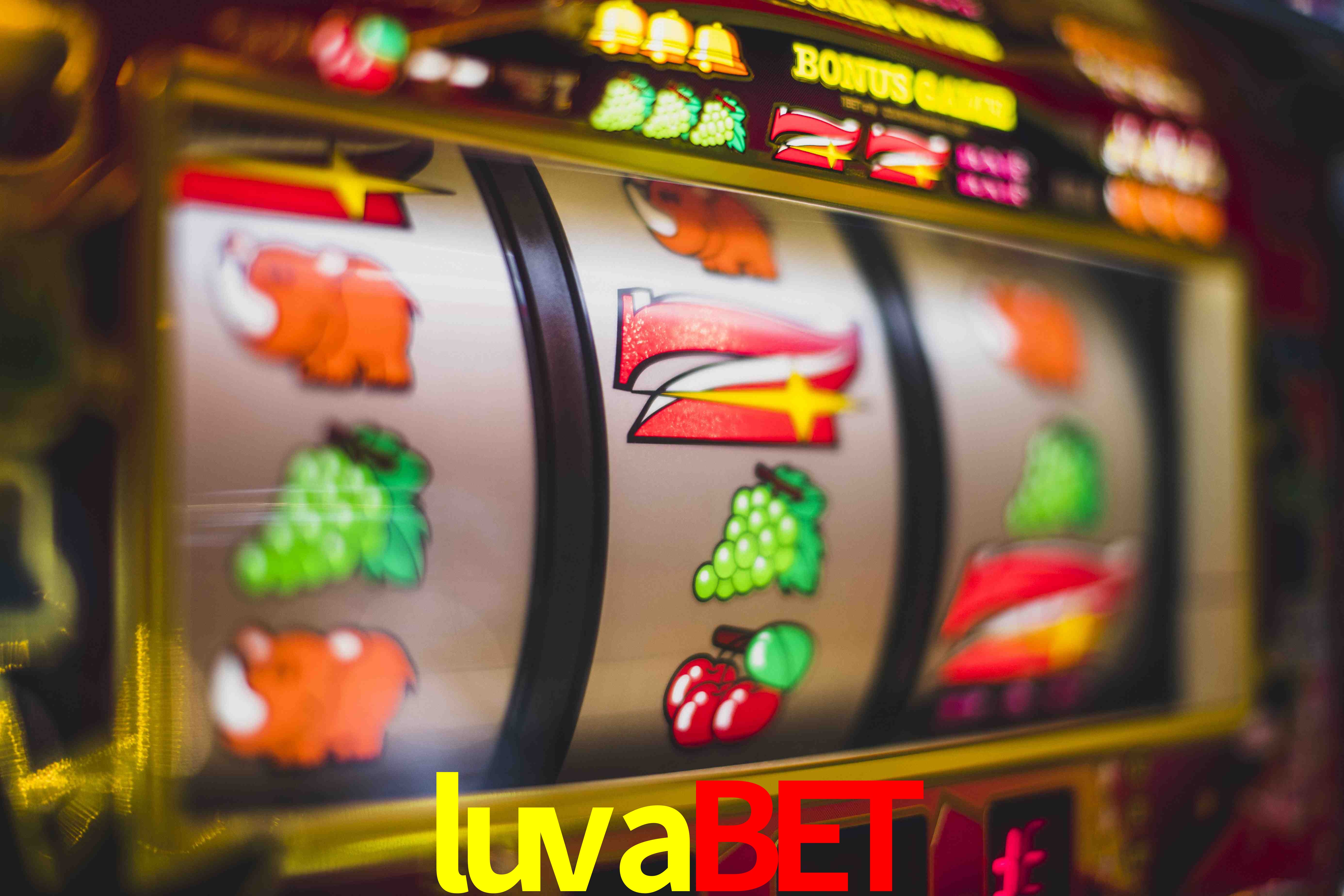 Sports Statistics luvabet